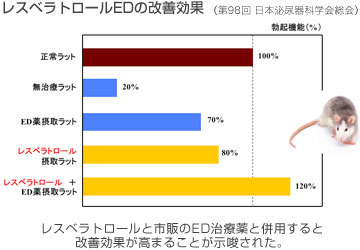 ラットの実験